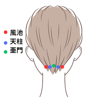 風池・天柱・亜門